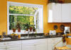 Garden windows